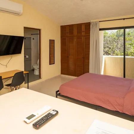 Compact Studio With Balcony Park View Casa Jurel